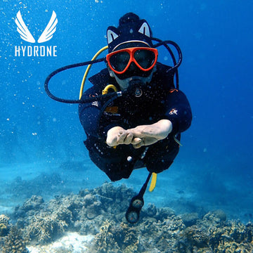 Cartoon Diving Headband 2mm Scuba Headband Surfing Hairband | HYDRONE